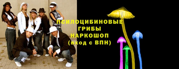 спайс Медногорск