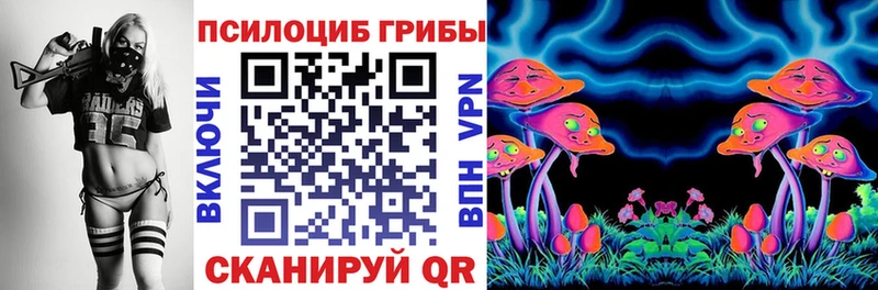Галлюциногенные грибы Cubensis  Усть-Джегута 