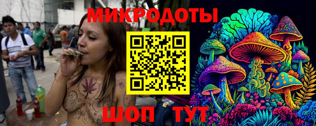 Галлюциногенные грибы Psilocybe Усть-Джегута
