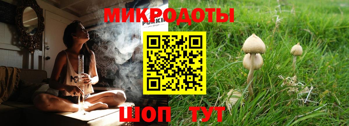 Галлюциногенные грибы Cubensis  Псилоцибиновые грибы MAGIC MUSHROOMS  Вход с VPN  Усть-Джегута 